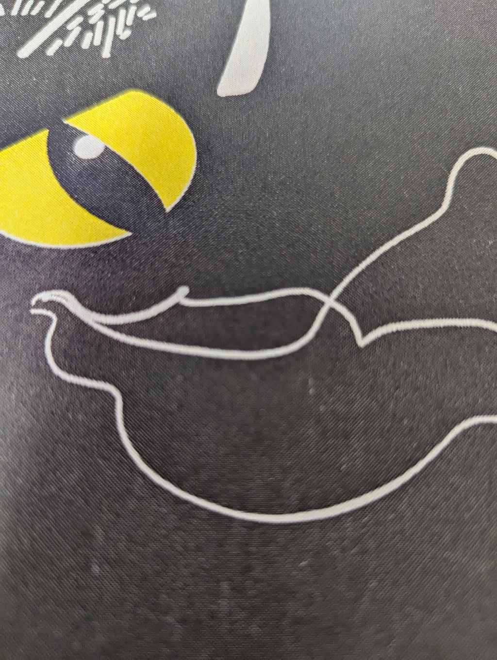 Black Cat A3 Risograph print